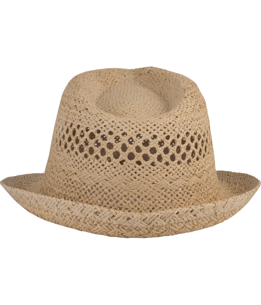 Chapeau style Panama