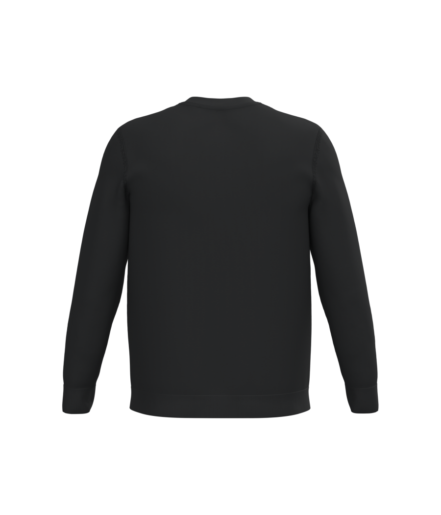 Pull écoresponsable à col rond homme