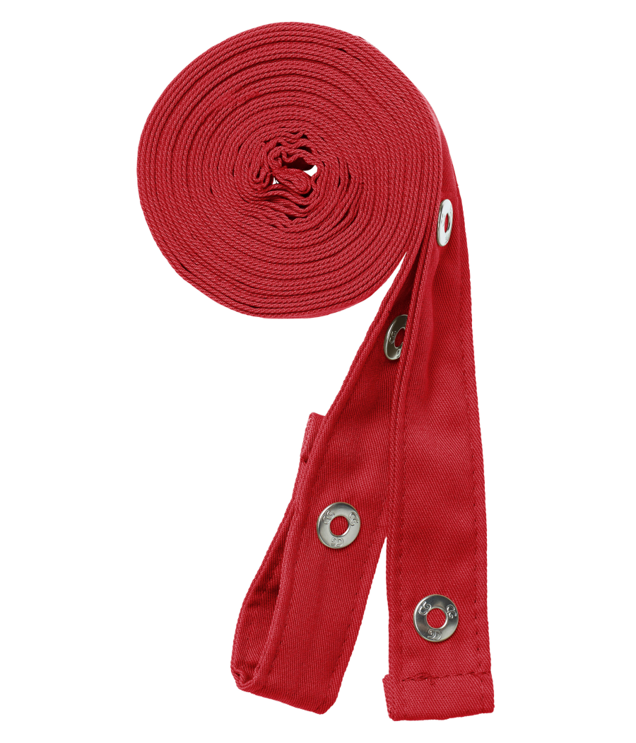 Set d'attache pour tablier Potenza x Classic (42141-01)